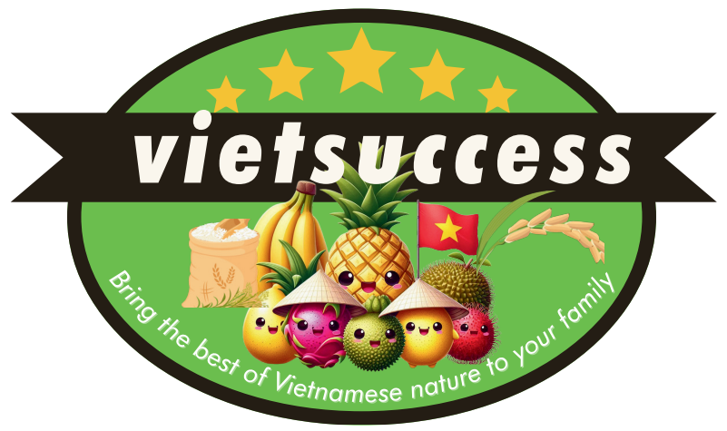 logo-vietsuccess