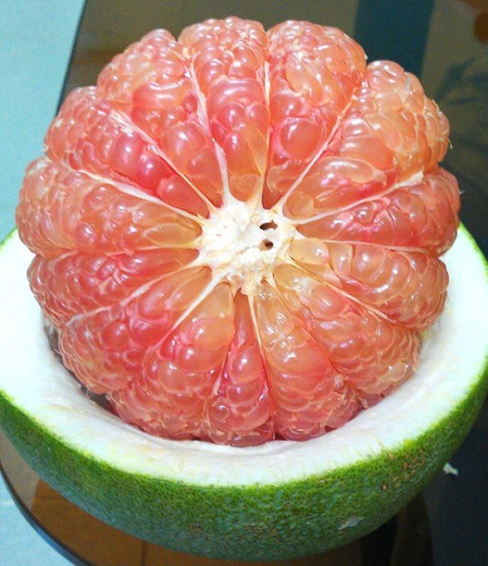 Pomelo