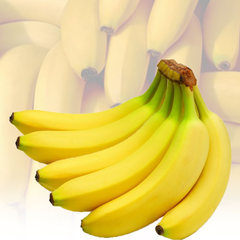 Cavendish Banana