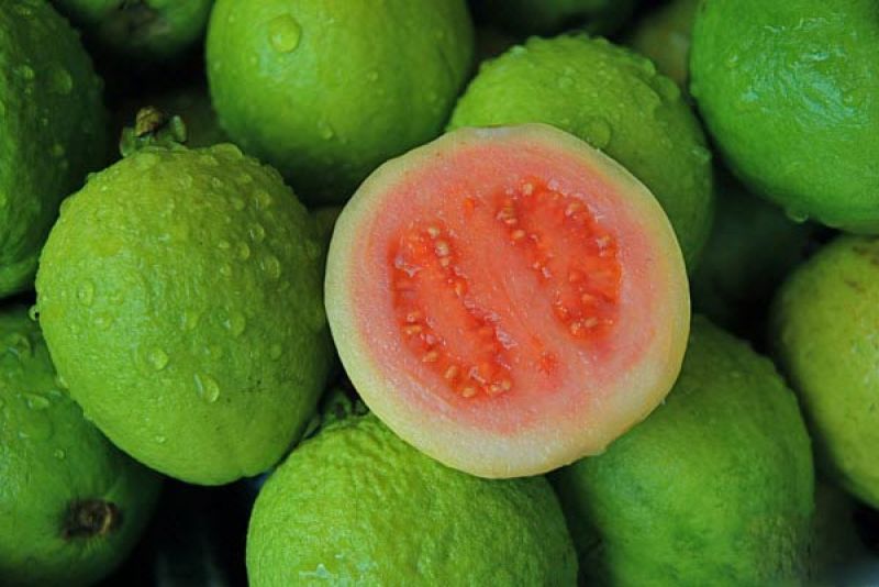 Guava