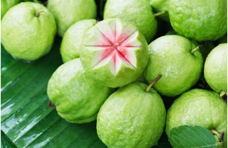 Guava