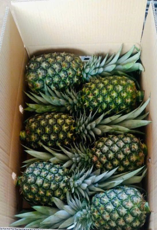 Pineapple Md2