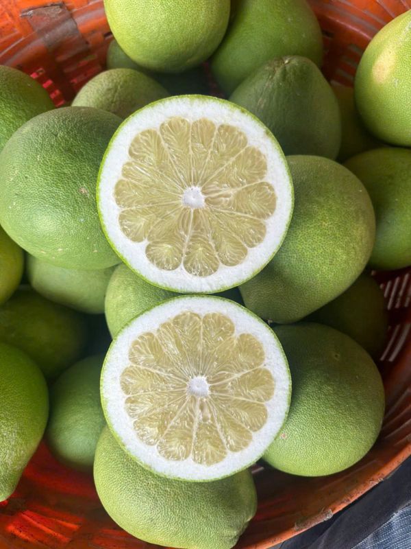 Pomelo