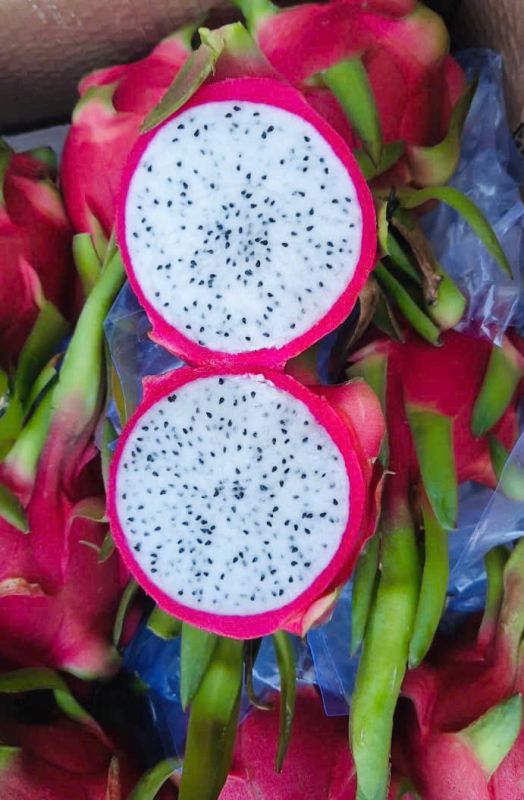 Dragon fruit