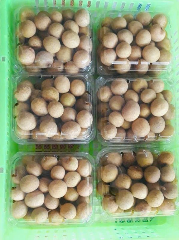 Longan