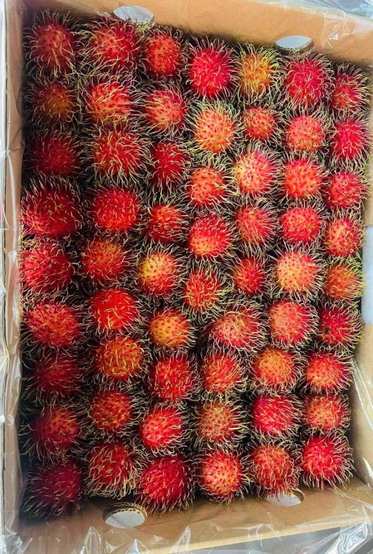 Rambutan