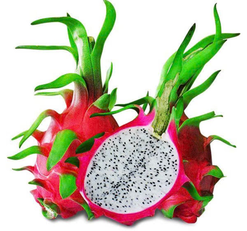 Dragon fruit