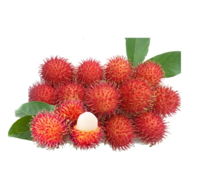 Rambutan