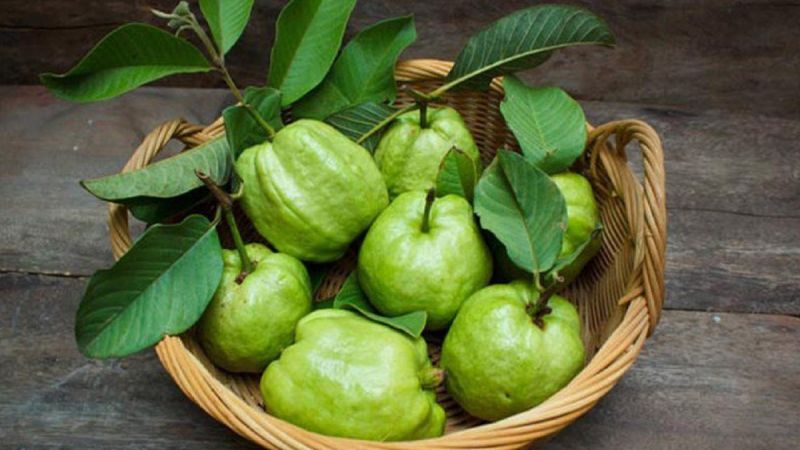 Guava