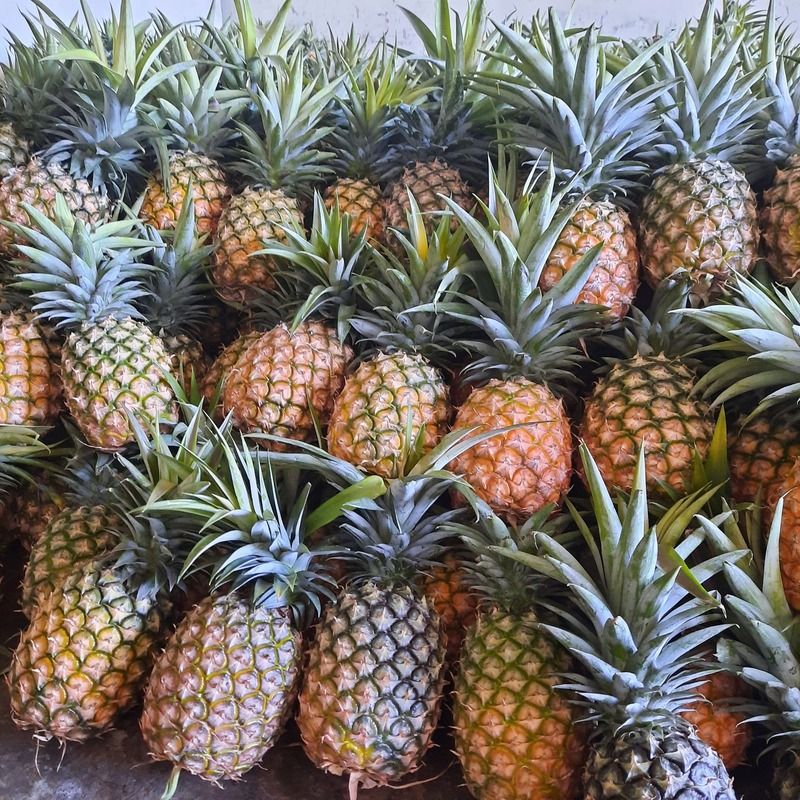 Pineapple Md2